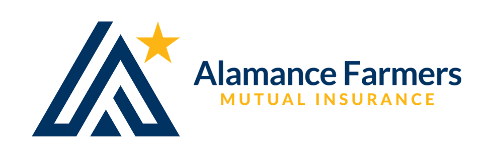 Stewart   associates website (5)