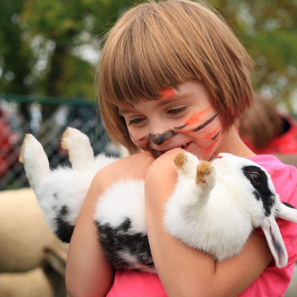 Face paint girl rabbit