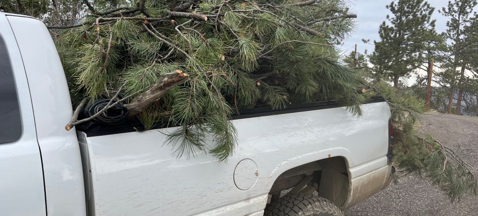 Eric's truck full of slash from roads to narrow to get the trucks down.