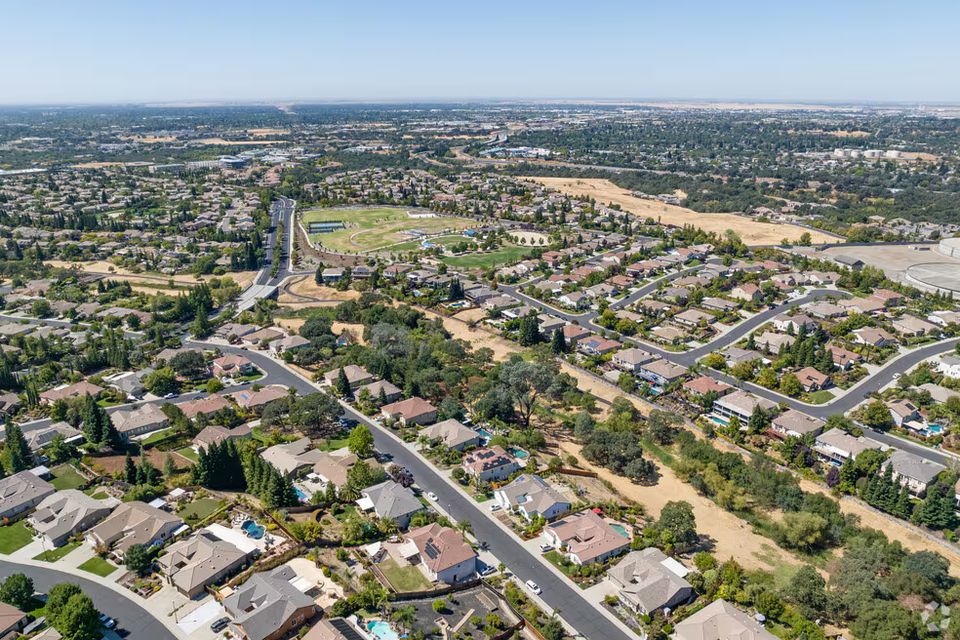Above It All Tree Care performing professional tree services in Granite Bay, California