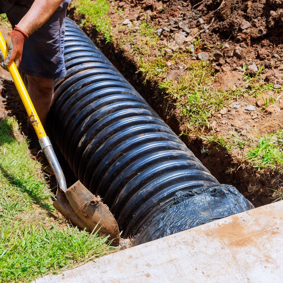 Septic trank drainfield