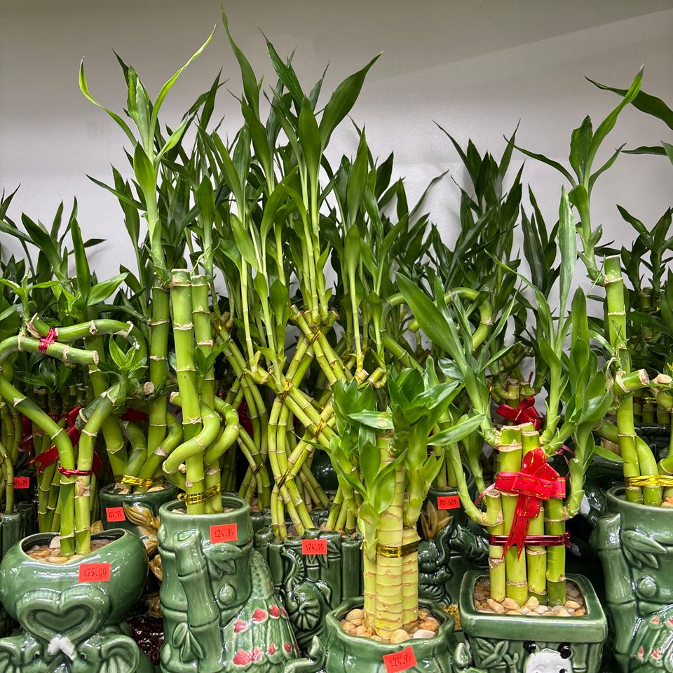 79832186932  c466c9d6 cd4e 4307 aad9 1ca06ef9bbc9