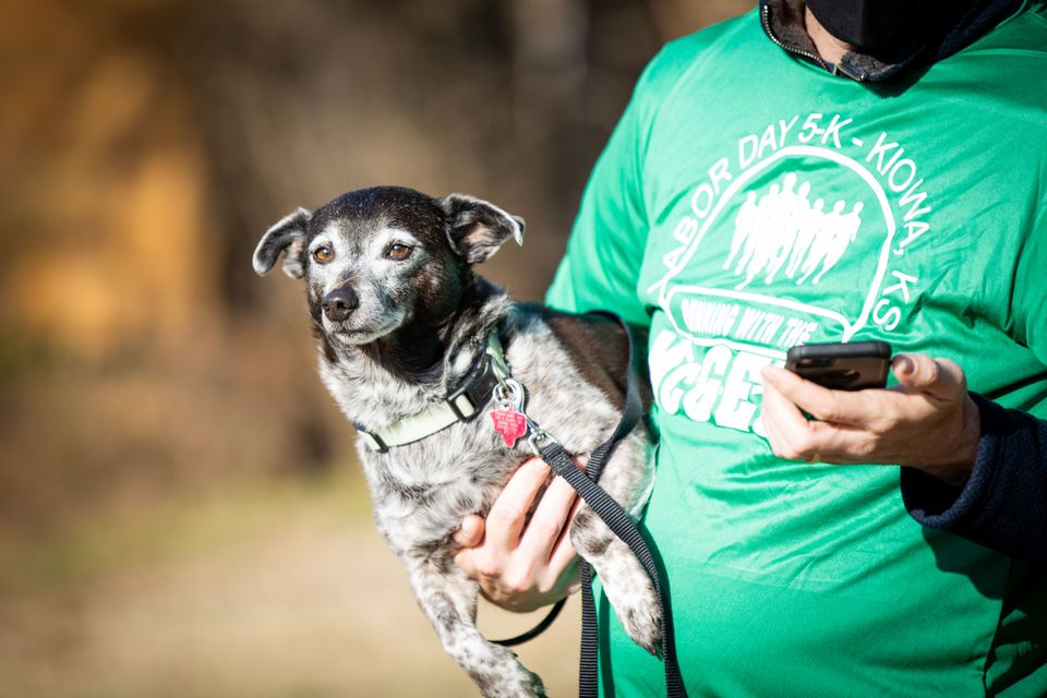 Shamrock shuffle 21 137