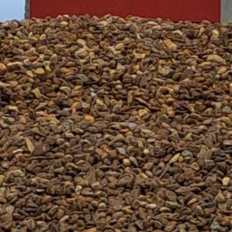 Cinnamon