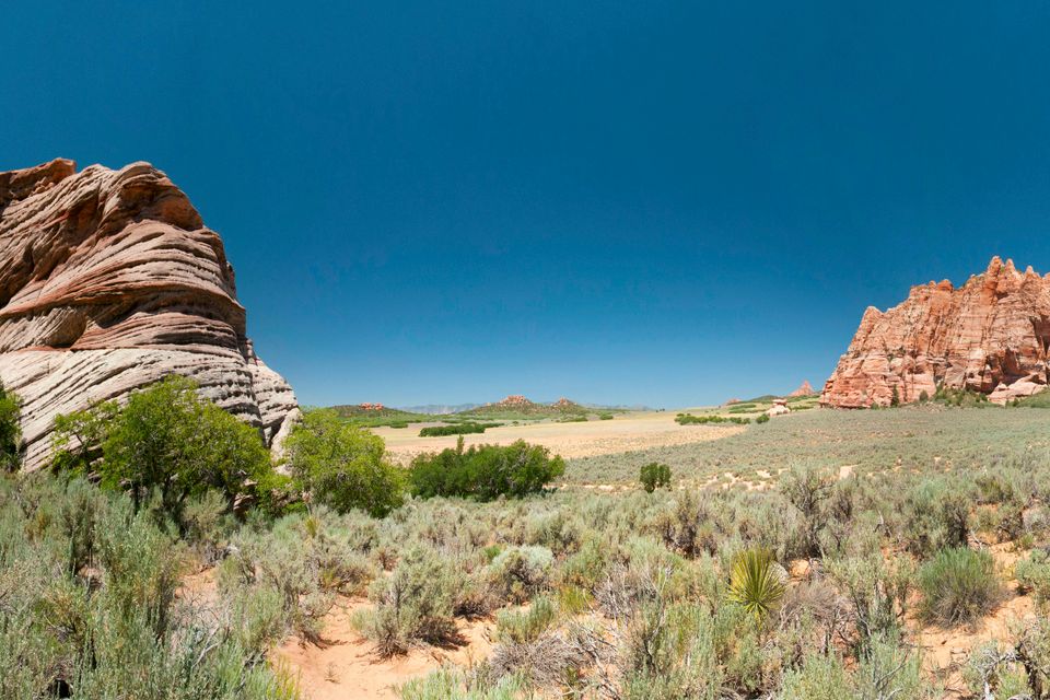 Kolob pano