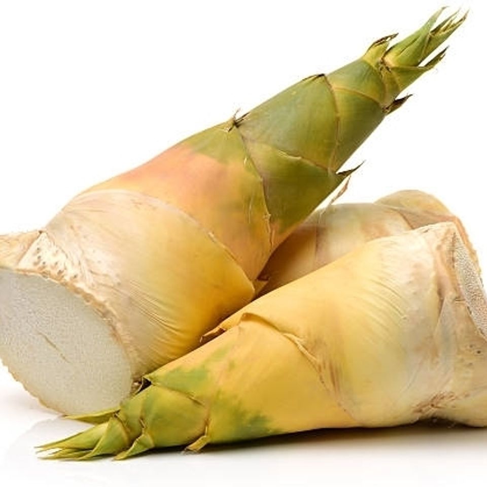 Bamboo shoots17