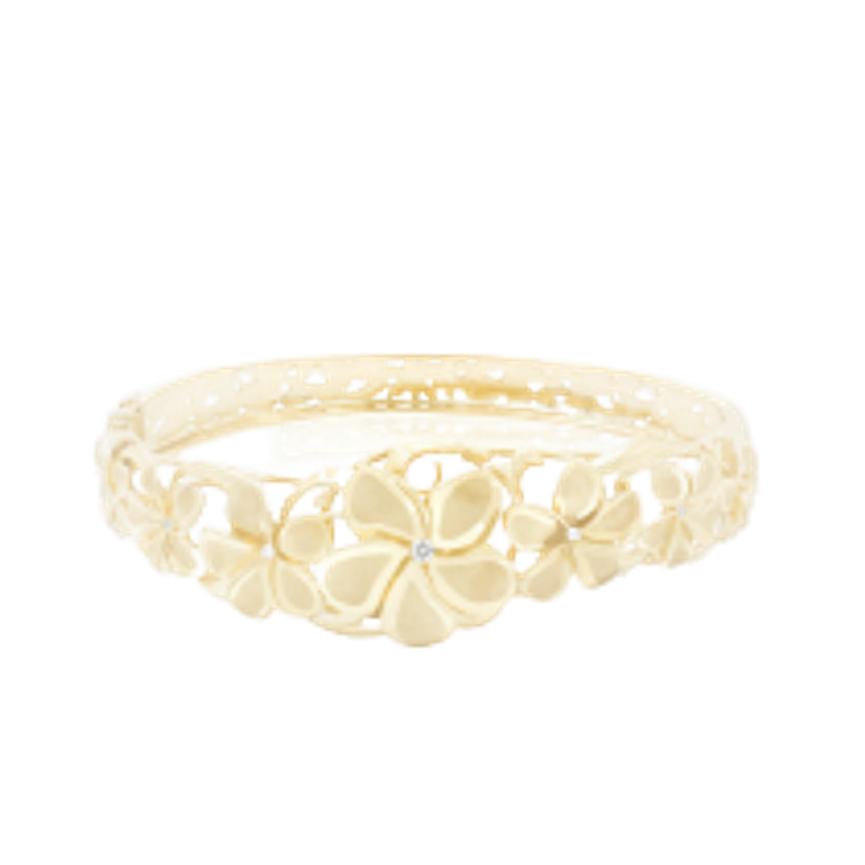 Ring nobackground