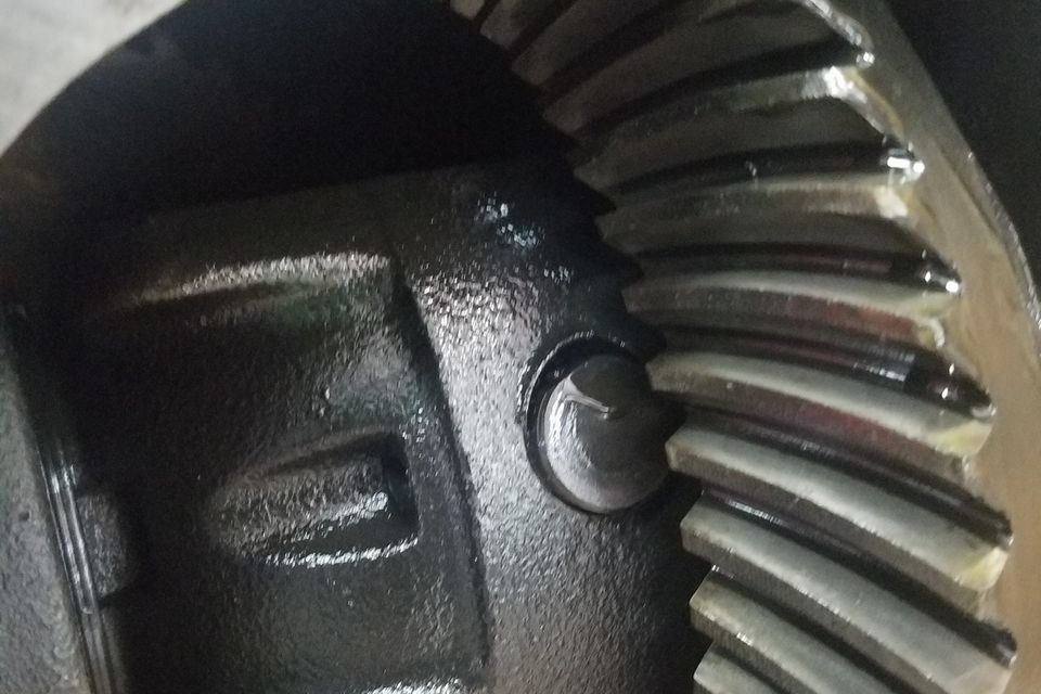 25188753 1902633990054033 5025766335899281387 o