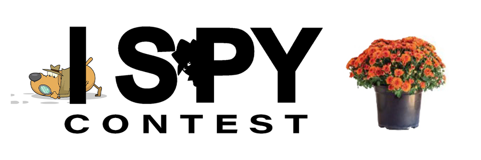 I spy contest graphic