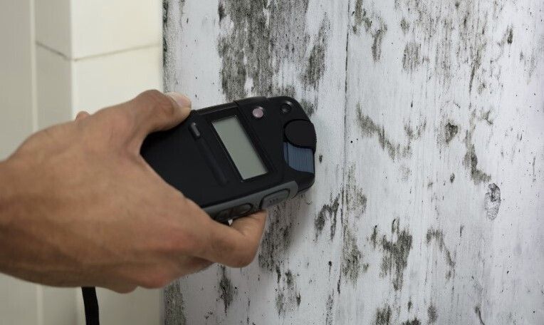Iab mold testing