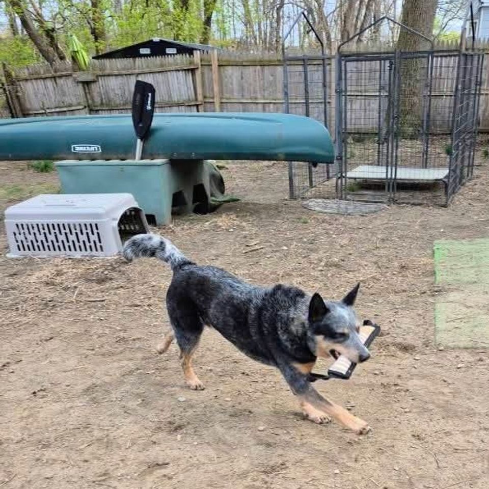 Fb img 1769435441666 2