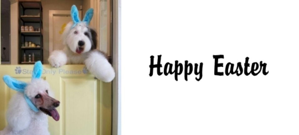 Celebrations   easter20150621 16889 1pyseci