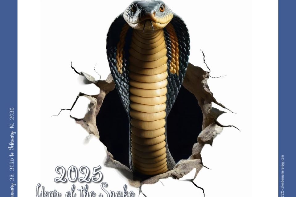 Coverscreenshot 2025