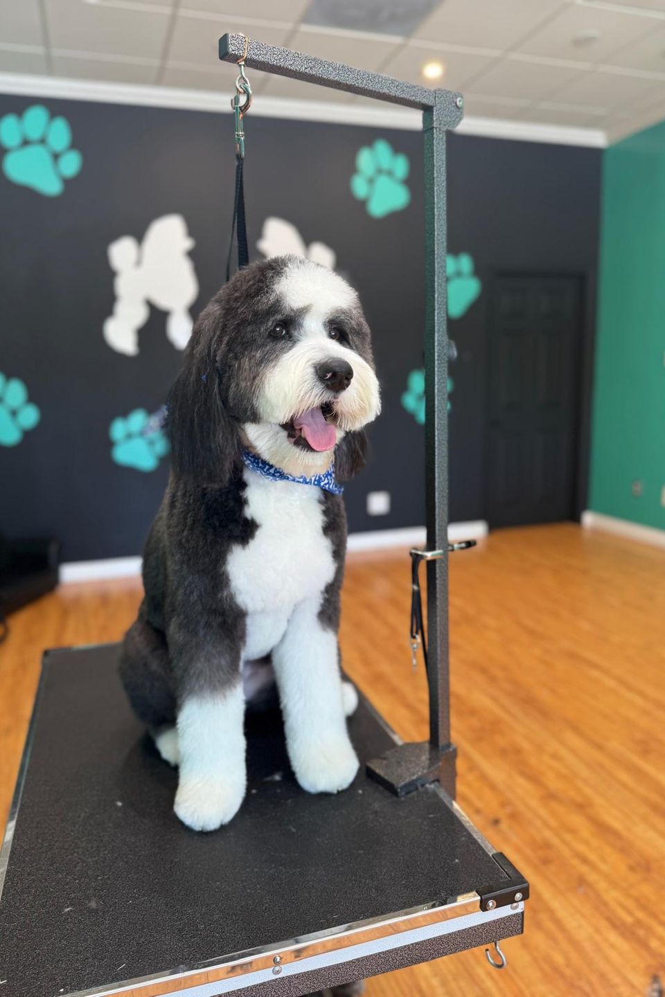 Woofsp1