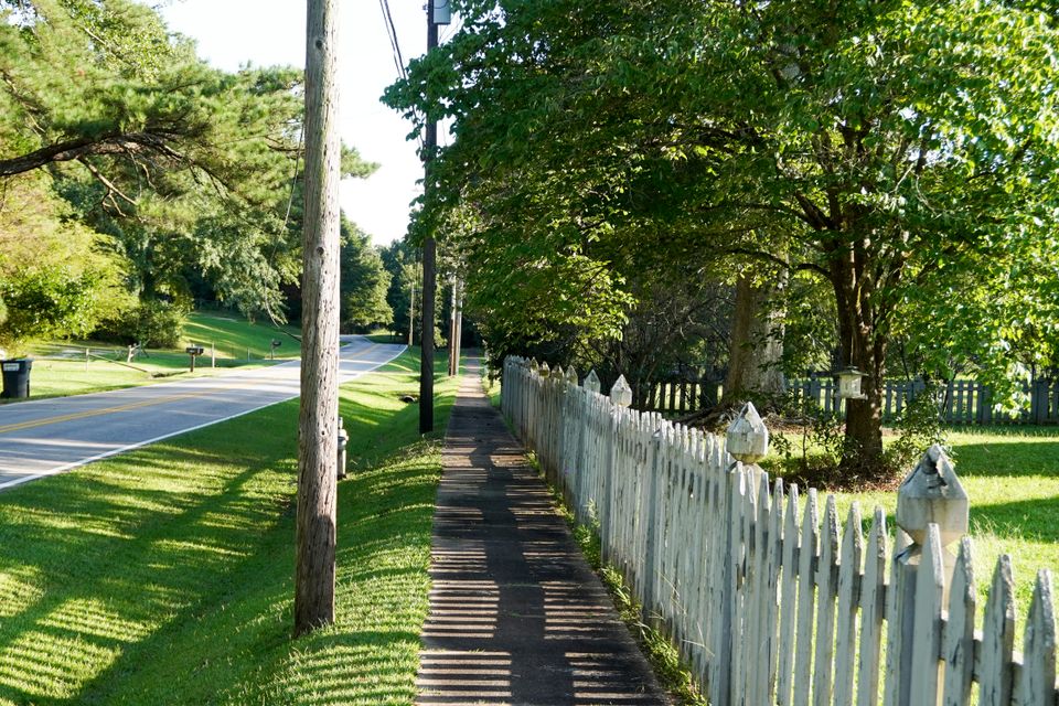 Lone oak side walk white picket fence