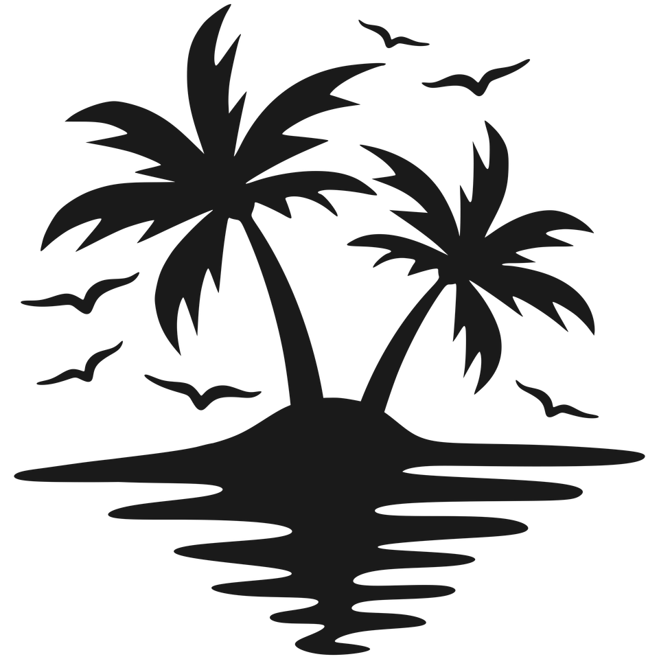 Beach   beach scene palm tree