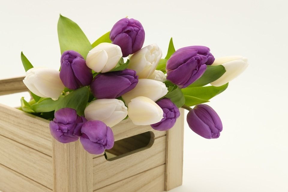 Bouquet 3158358 960 72020180226 5425 1upy3f7