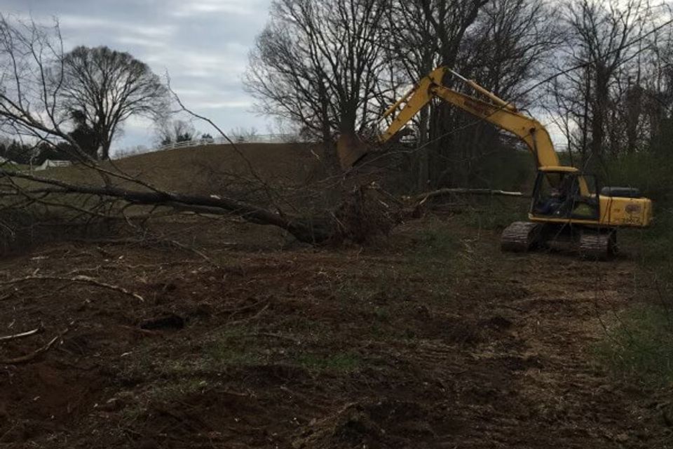 Gallery bush trucking 5