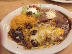 Mole enchiladas