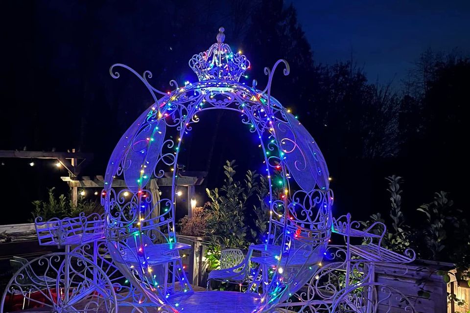 Lavenderatstillewatereventsbluewagon