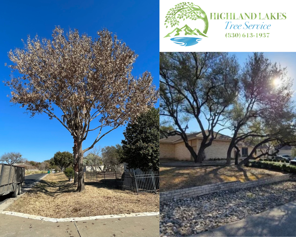 Highland Lake Tree Service
