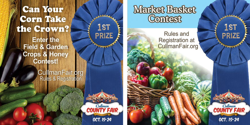Contest 1
