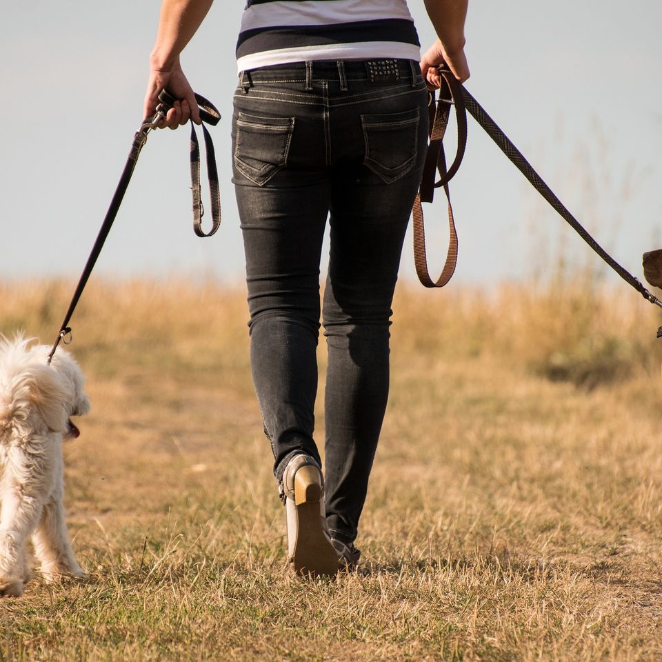 Dog walker