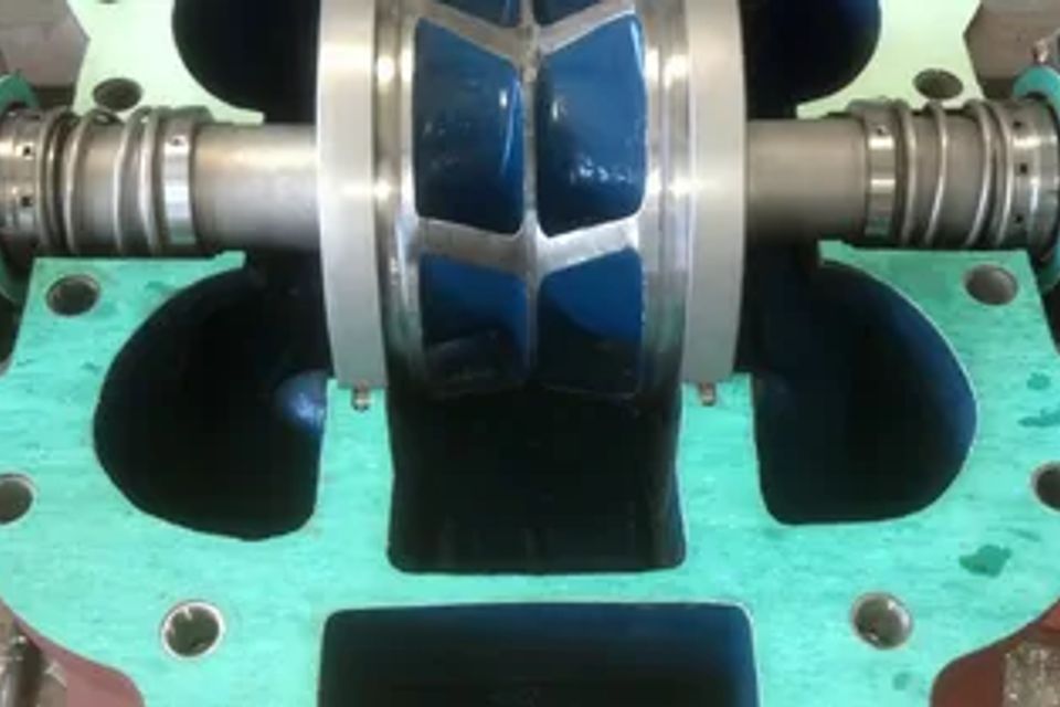 Rs w 370 cg true (5)