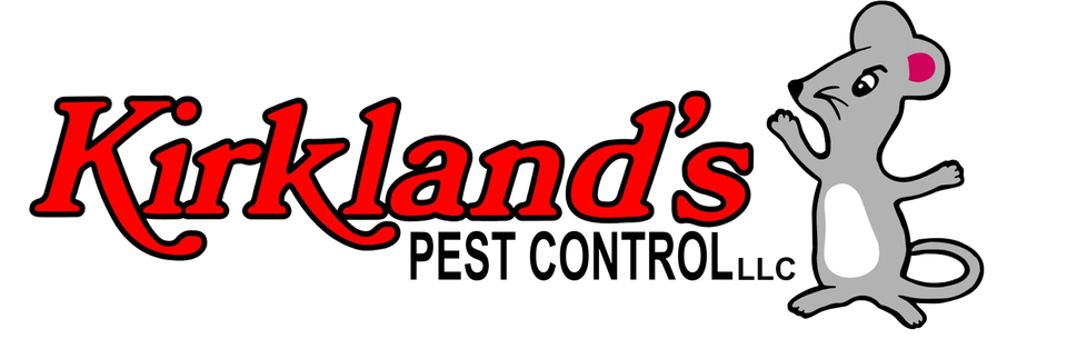 Kirklands website logo