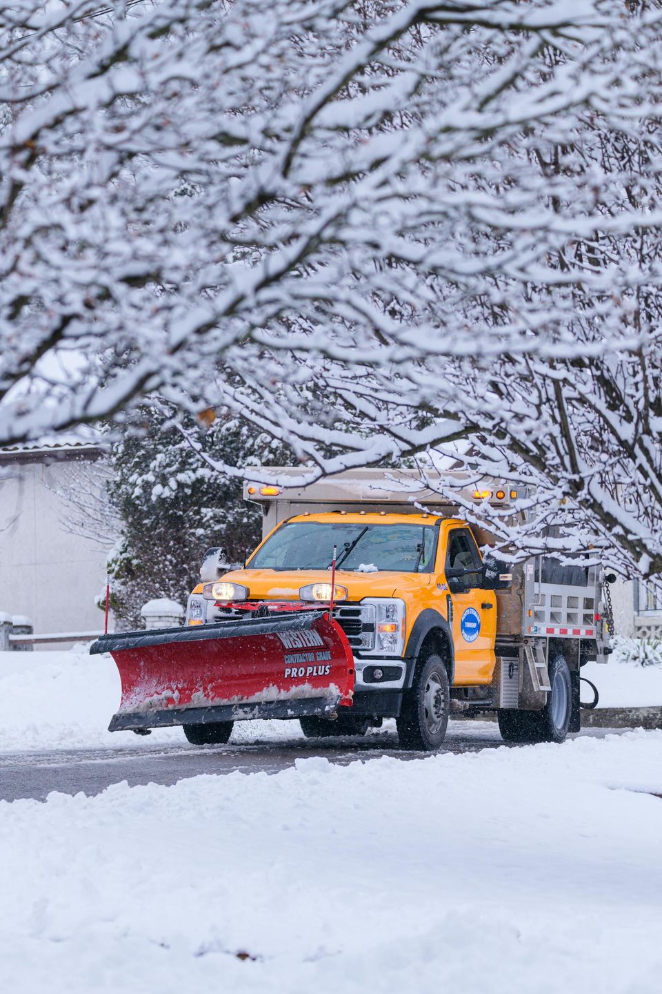 Pexels jay brand 1763356224 35030432