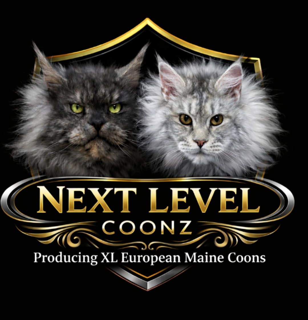 Next Level Coonz