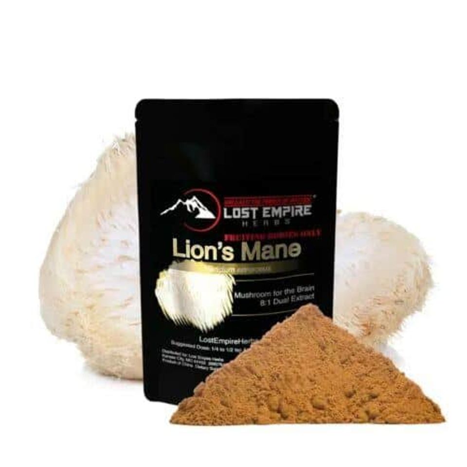 Lions mane powder lost empire herbs 500x500