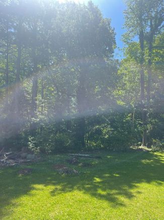 Lot clearing 2