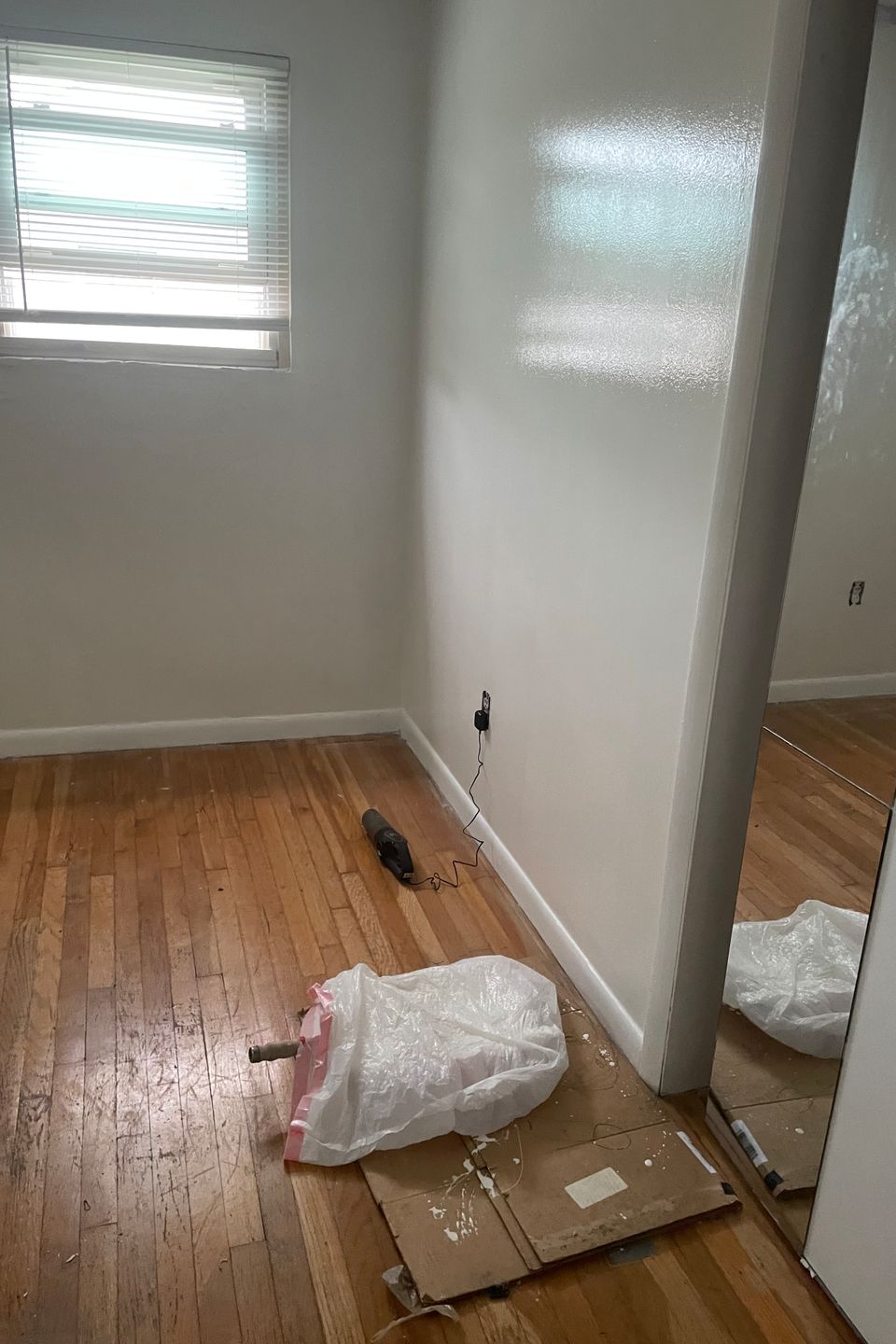 Img 1309