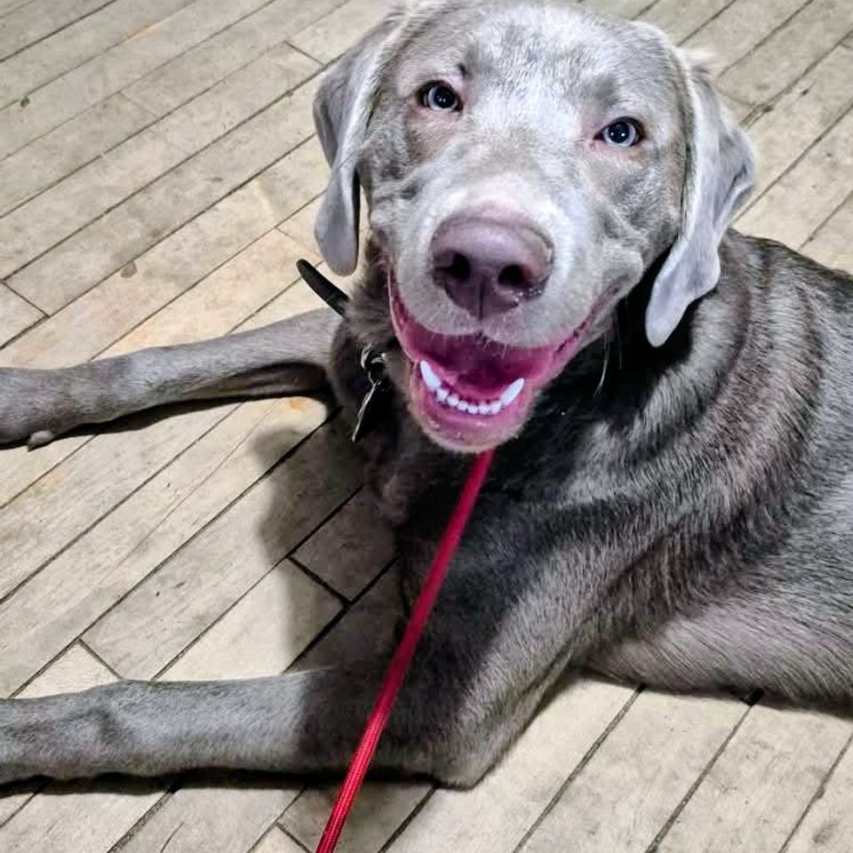 Fb img 1769435413481 2