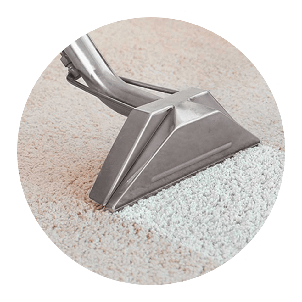 For home icons carper cleaning 2x