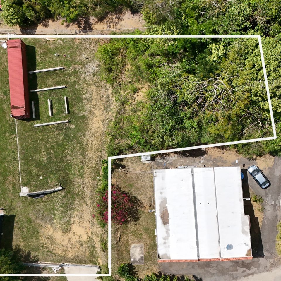 Dji 20260316142146 0659 d