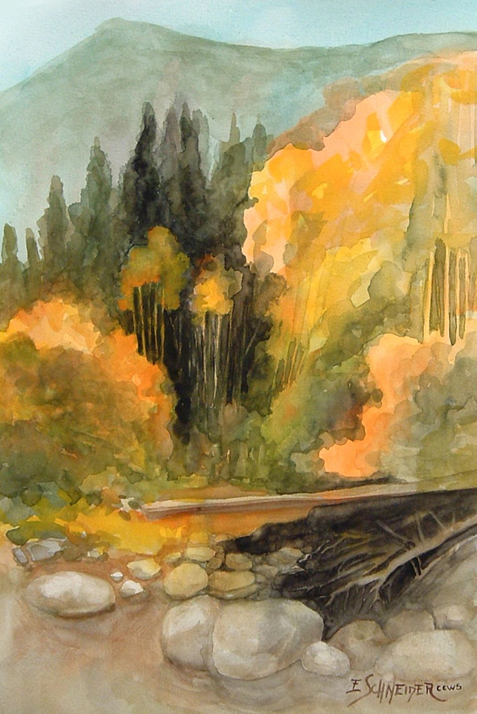 Aspen creek  1