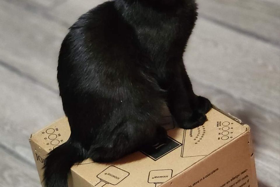 Getattachmentthumbnail (4)