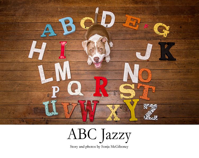 Abc jazzy v2 cover