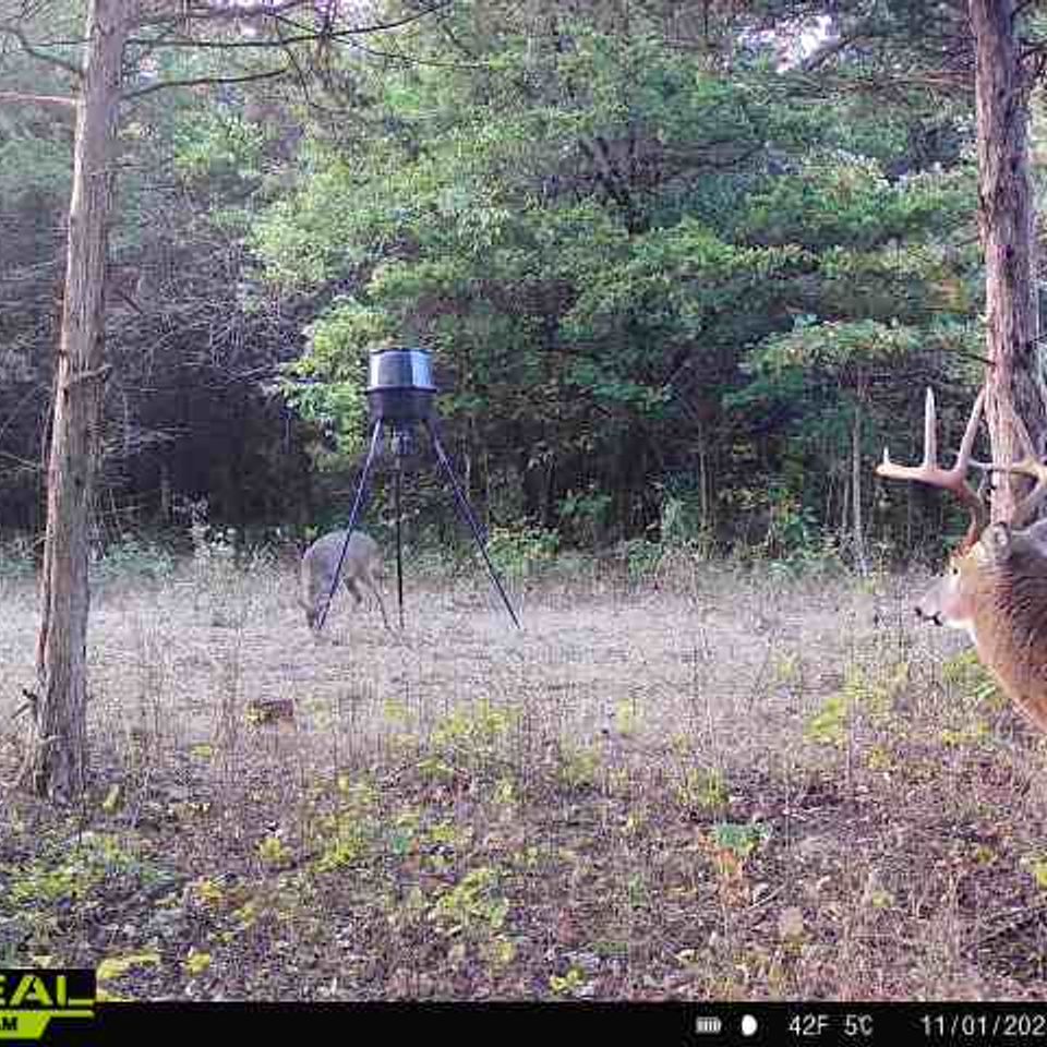 865814043798170 100 3 11012025090116 w1000412