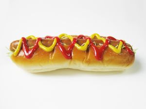 Hot dog ge14dc60fd 1920