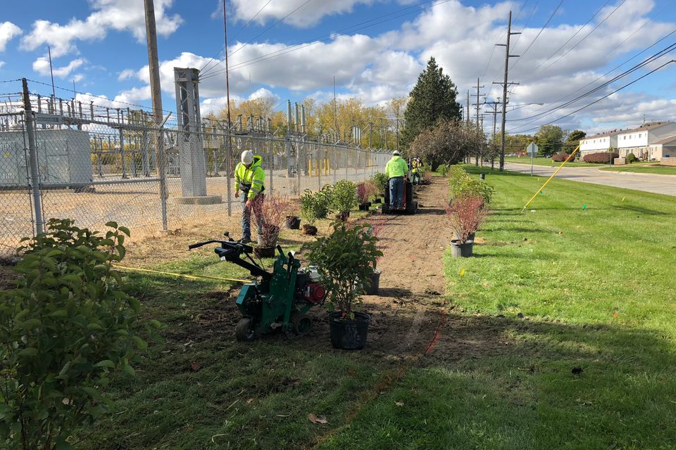 Landscape maintenance img 3202 (1)