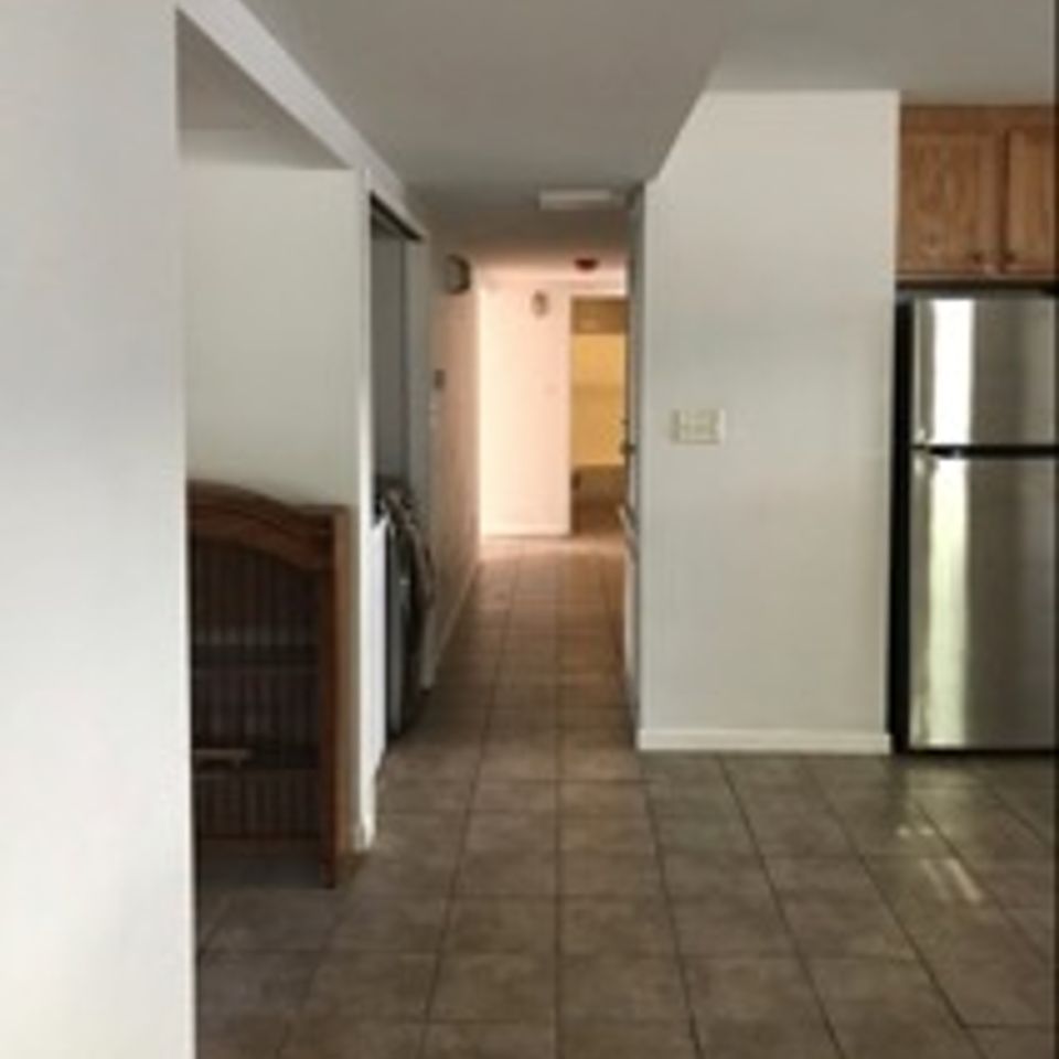 Img 3942