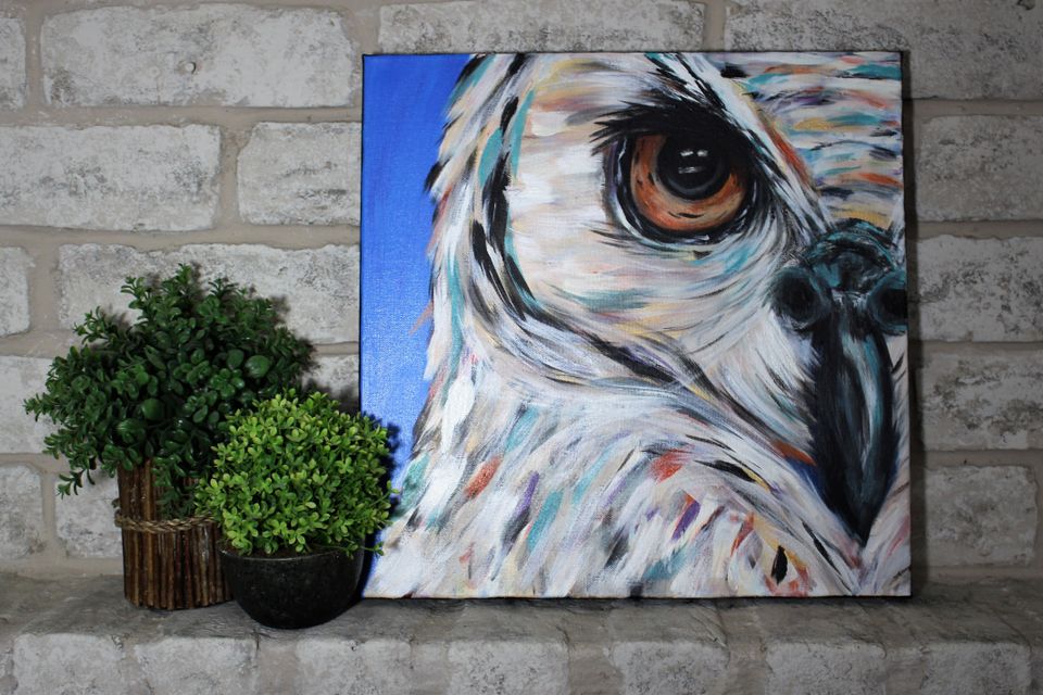 Owl display