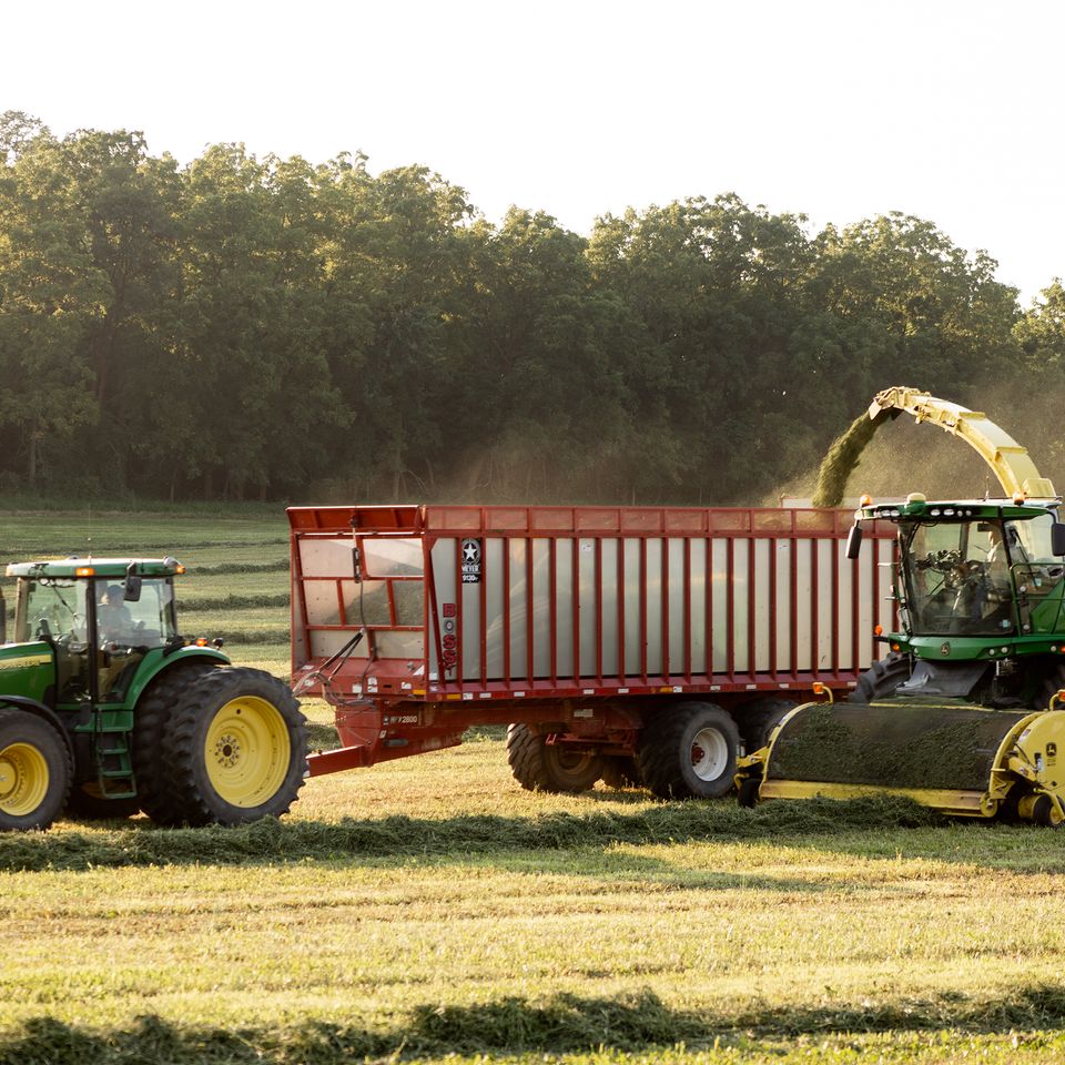 Haycrop august2024 14