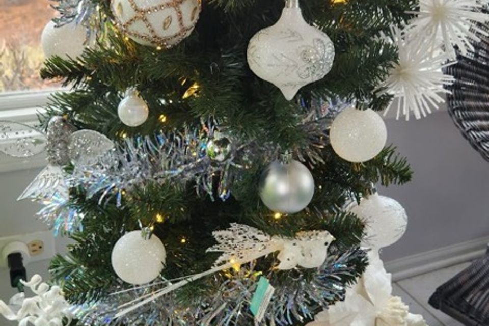 Image0000 (4)