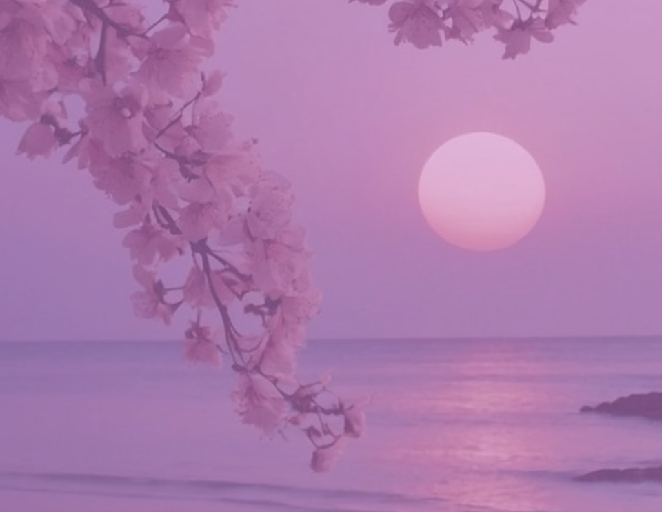 Trust god’s timing (1)