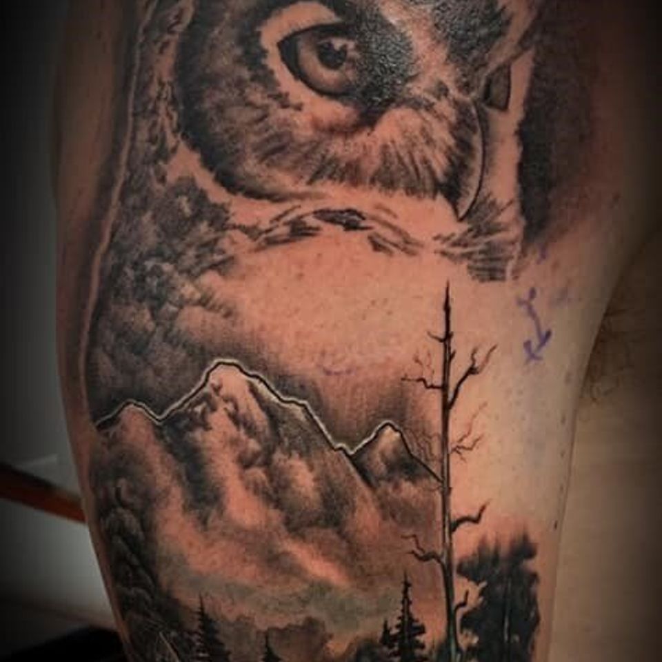Josh owl mountains