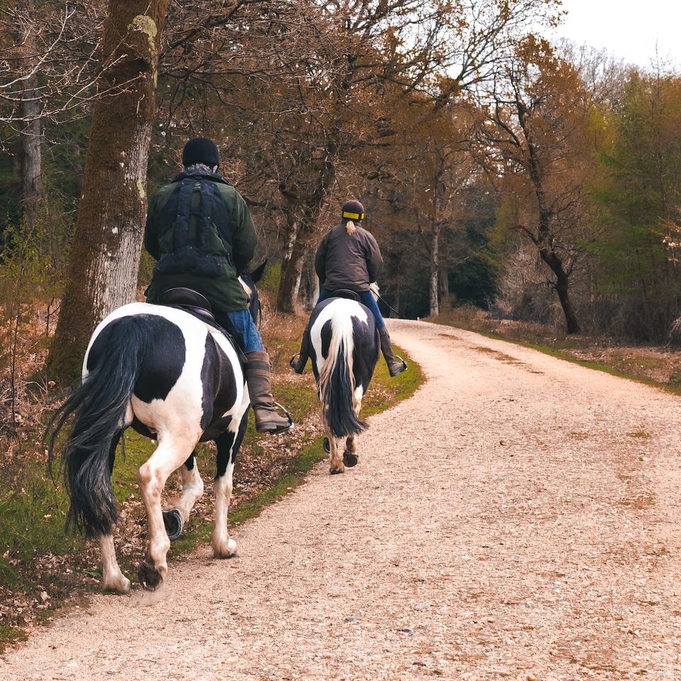 group horse trail riding